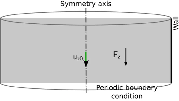 Figure 5: Simulation domain for the preliminary simulations of the Poiseuille flow