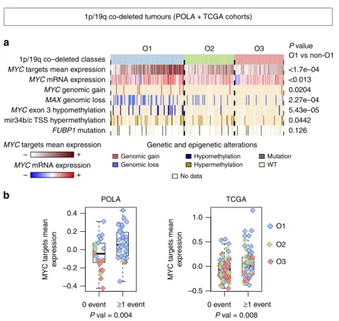 Figure 5 | Overview of MYC-related genomic and epigenomic alterations frequently observed in O1 tumours
