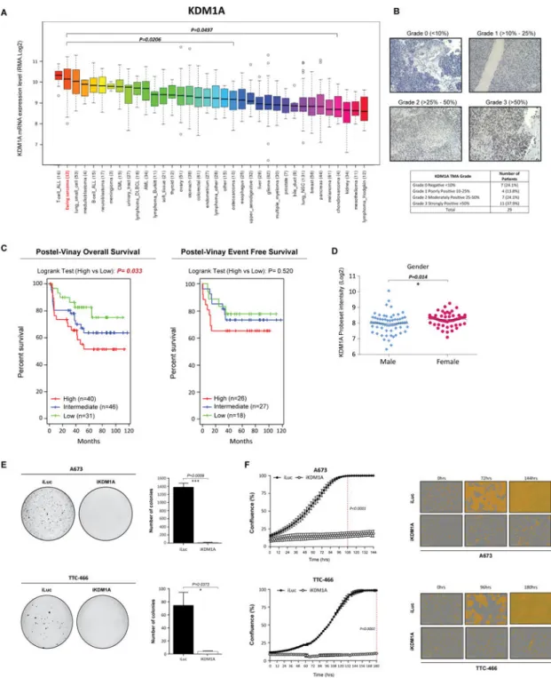 Fig. 1. KDM1A is highly expressed in Ewing sarcoma cell lines and tumors