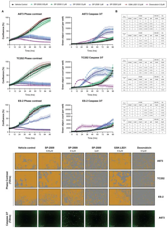Fig 2. SP-2509 but not GSK-LSD1 significantly reduces the proliferative capacity of Ewing  sarcoma cell lines