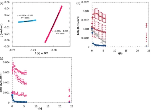 Fig. 3. Determination and evolution in time of the inverse of polarisation resistance (1/Rp) for S235JR mild steel electrodes in 0.1 M Tris-HCl pH7 medium