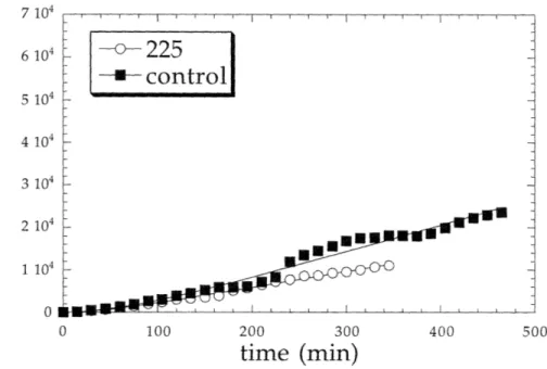 Figure  3.5  Comparison  of average  squared displacement  of cells