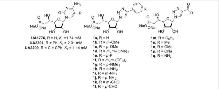 Figure 1: Previous (UA1776, UA2201 and UA2209 [7,8]) and new 1a–q phosphonate derivatives designed as potential cN-II inhibitors.