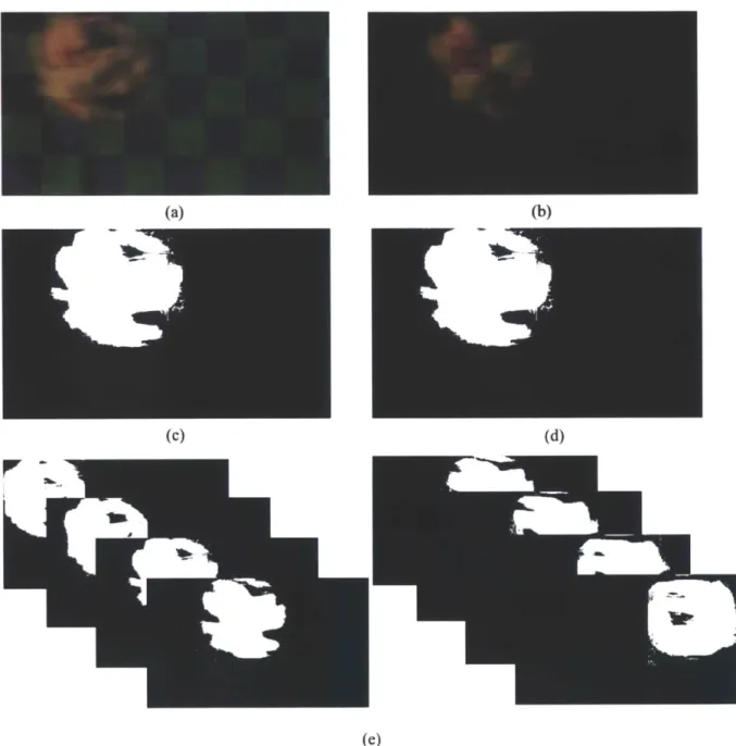 Figure  111-3:  Images  describing  the  image-processing  algorithm.  Image  (a)  shows  one  of the frames  acquired  in  the  high-speed  video