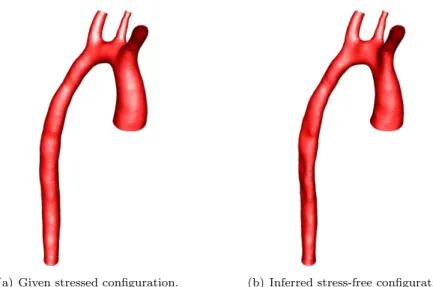 Figure 12: Reference configurations for the ALE map (a) and solid (b).