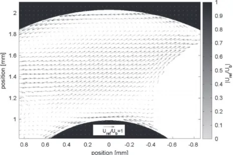 Fig. 5. Effect of the curved bend on the recirculation ﬂow in the liquid slug between two Taylor bubbles for superﬁcial velocities U G ¼0.031 m/s and U L ¼0.031 m/s.