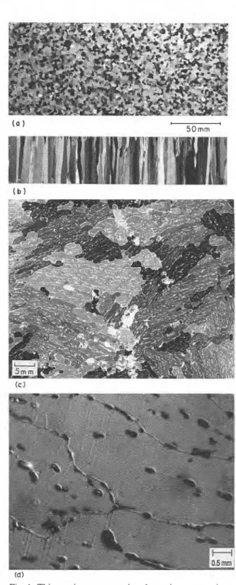 Fig.  2.  Experimental  arrangement  for  the  gauges  on  a  specimen. 