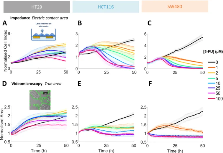 Fig 8. 2D real time growth analysis. (A-C) Time series of the Cell Index obtained by RTCA impedance assay for the three CRC cell lines after 5-FU treatment administrated at initial time ([5FU] ranging from 0 to 100 μM, see colour code on the right)
