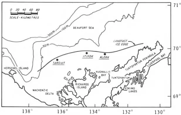 FIG.  1. The outer edge of  landfast ice and  some of  the grounded rubble fields, April  1986