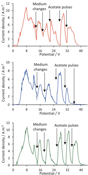 Fig. 1. Chronoamperometries under constant polarization at ÿ0.2 V/SCE. The cycles were considered to have ended when the current dropped quickly towards zero.