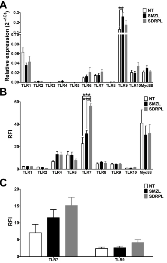 Figure 1: Pattern of TLR mRNA and protein expressions.  (A) mRNA expression and (B) protein expression of the different TLR  in B cells from non-tumoral, SMZL and SDRPL samples, all from spleen