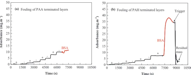 Fig. 6. Eﬀect of terminal layer on BSA and HA adsorption and sacriﬁcial layer eﬀect (a) BSA fouling of multilayers terminated with PAA ( − ) layer; (b) BSA fouling of PAH (+) terminated layers and eﬀect of trigger solution (pH 3, 3 M) on desorption of foul