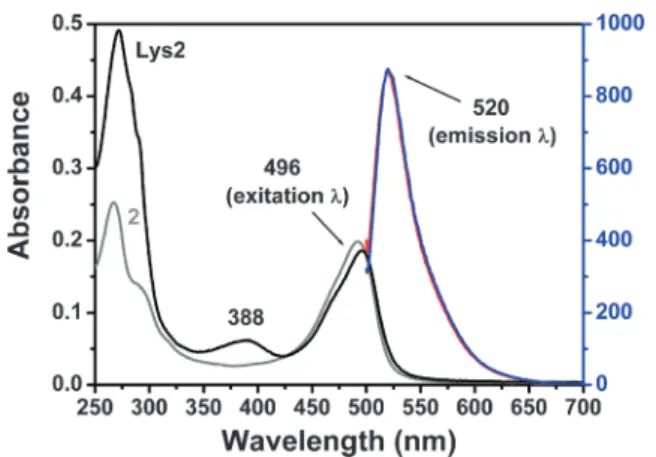 Fig. 6 shows the eﬀect on the lysis on a suspension of M. lysodeikticus cells by the action of Lys, Lys1 and Lys2.