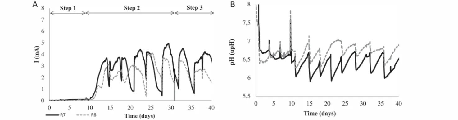 Fig. 6. Current intensities recorded on carbon cloth electrode polarized at 0.15 V vs