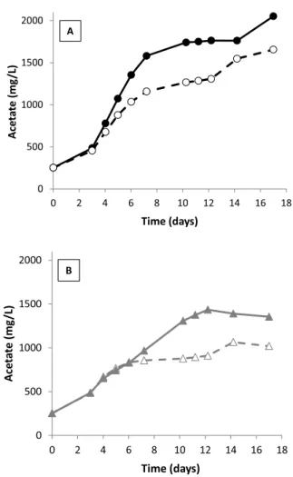 Fig. 4. Acetate production in medium inoculated with biological sludge (run