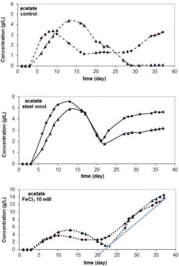 Fig. 5. Acetate production in medium inoculated with biological sludge (run