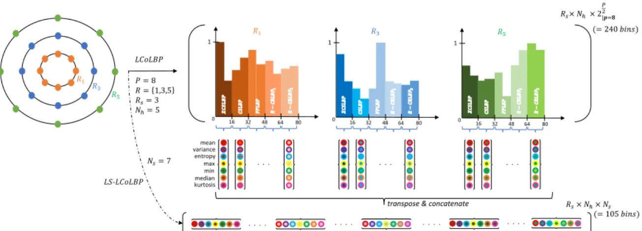 Figure 2: Late Statistics (LS) from a Light Combination of Local Binary Patterns (LCoLBP) with a 3-radii neighborhood (R s = 3), 8 neighbors P, and 7 statistics N s 