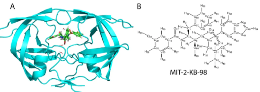 Figure 2. (A) Designed inhibitor MIT-2-KB-98 (stick representation; green) in model complex with HIV-1 protease (cartoon representation; cyan), with the three retained water molecules (line representation)