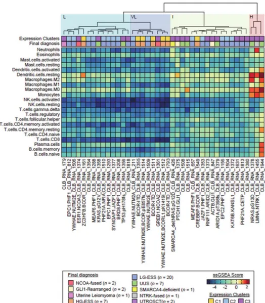 Figure 3. Hierarchical unsupervised clustering of the investigation cohort (n = 43) upon immune infiltrate population profiles