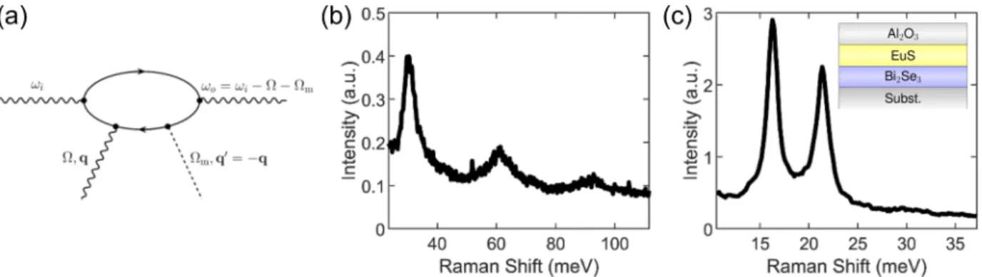 FIG. 1. (a) The Feynman diagram for the Raman scattering process in EuS. Incident light first generates an electron-hole pair