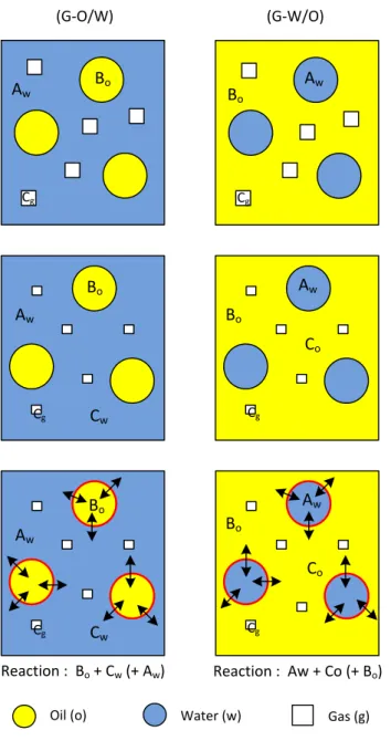 Fig. 1. Model 1: reaction occurring at liquid-liquid interface. (i) Initial state. A w  = component A in water; B o  = component B  in oil; C g  = component C in gas