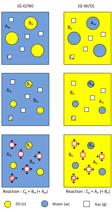 Fig. 3. Model 2: reaction occurring at the gas-liquid interface. (i) Initial state. A w  = component A in water; B o  = component  B in oil; C g  = component C in gas