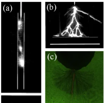 Figure 2.4: Surface flashover development (a): within a polytetrafluoroethylene (PTFE) bore [10] and (b,c): 
