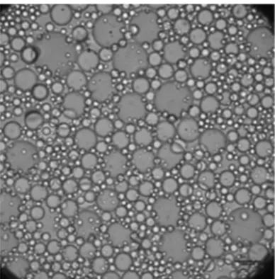 Fig. 4. Microscope image of droplets from the batch reactor. Operating con- con-ditions: 0.032 mol.L −1 of oleic acid, 0.096 mol L −1 of n-butanol and 1 g L −1 of enzyme at 800 rpm rotation speed.