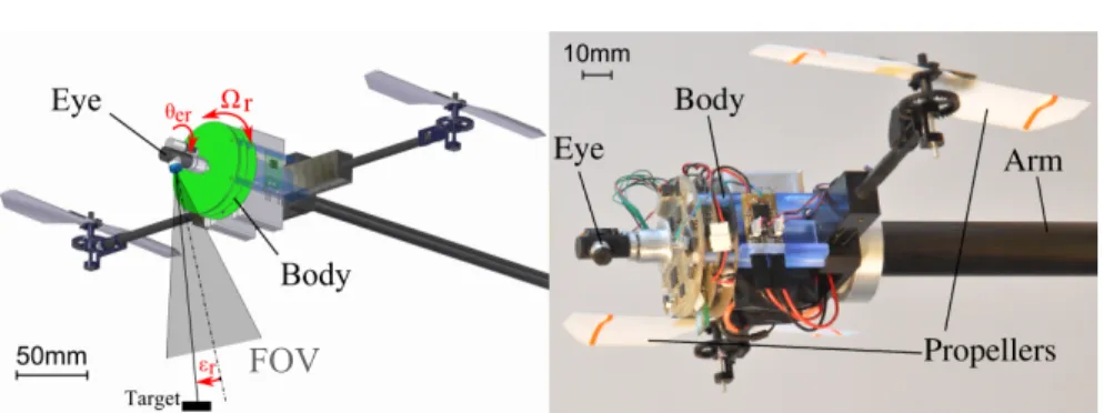 Fig. 1 (a) CAD of the 150-grams micro-air vehicle, called HyperRob, in which a fast micro servo (MKS servo) controls the orientation of the eye (angle θ er ) relative to that of the body