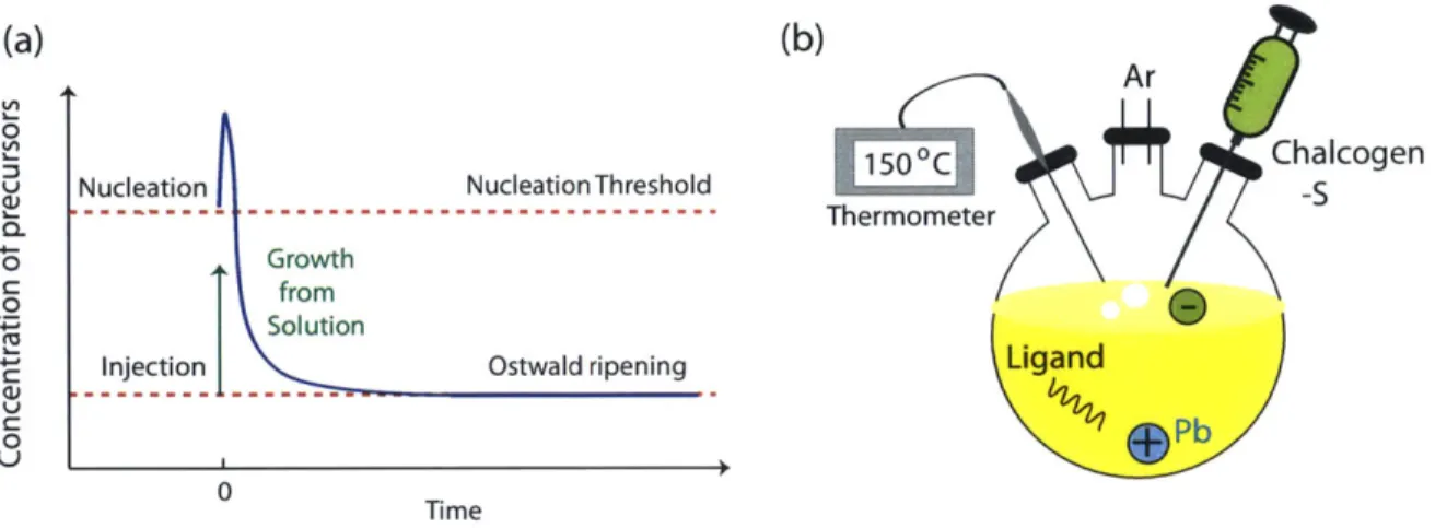 Figure  2-1:  (a)  Sketch  depicting  the  nucleation  and  growth  phases  in  the  synthesis of  monodisperse  colloidal  quantum  dots