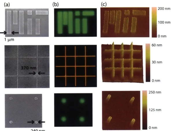 Figure  2-6:  Nanopatterned  films  of  CdSe  quantum  dots  (first  and  third  rows)  and Zn 0 