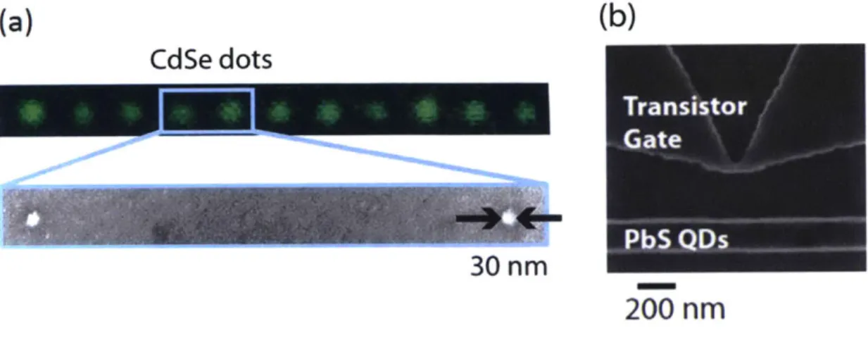 Figure  2-7:  (a)  Fluorescence  and  Scanning  electron  microscope  (SEM)  image  of  30 nm  small  patterns  of  Zn 0 