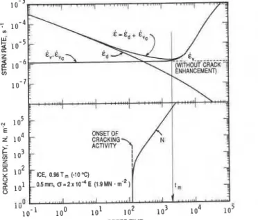 Fig.  3.  Computed strain  rates  and  cracking  activity during creep  for  the  strain  history given in  Fig