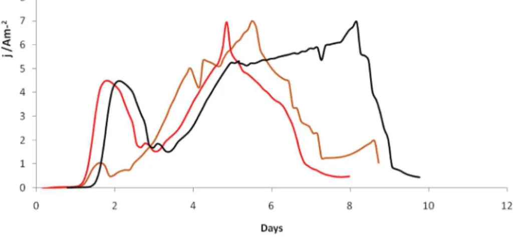 Fig. 5. Evolution of the current density (j/Am −2 ) versus time (days) for triplicate experiments on a carbon felt electrode of 6 cm 2 projected surface area polarized at−0.1 V/SCE in a liquid medium under optimal conditions determined by the statistical m