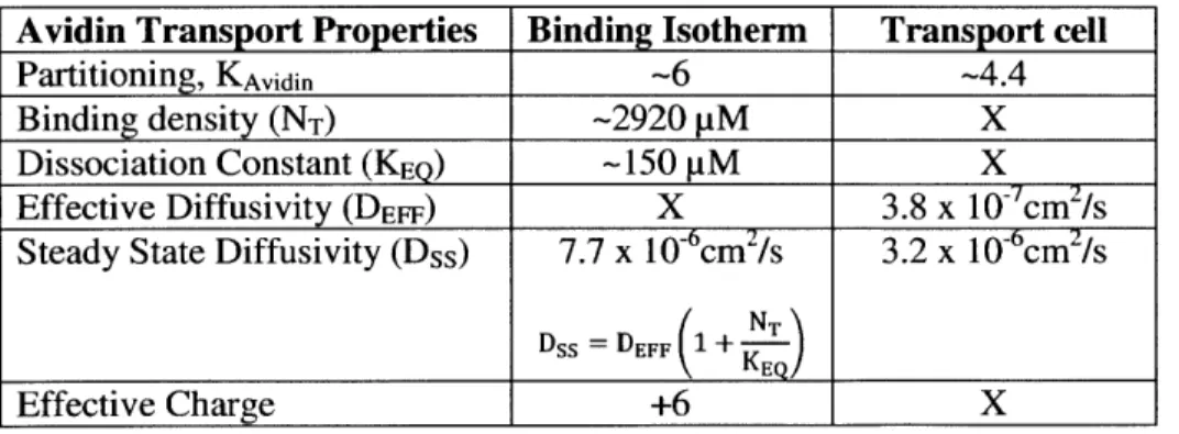Table 2.2. Transport properties  estimated  for Avidin from  the transport cell  and binding  isotherm.