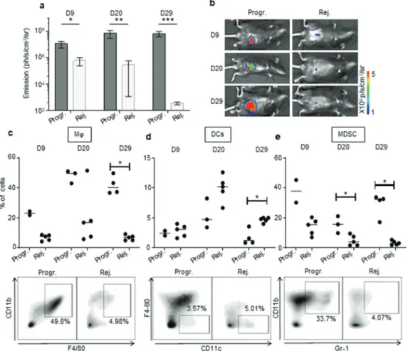 Figure 4. The immunosuppressive myeloid cell-related microenvironment is characterized in progressive CRC mice