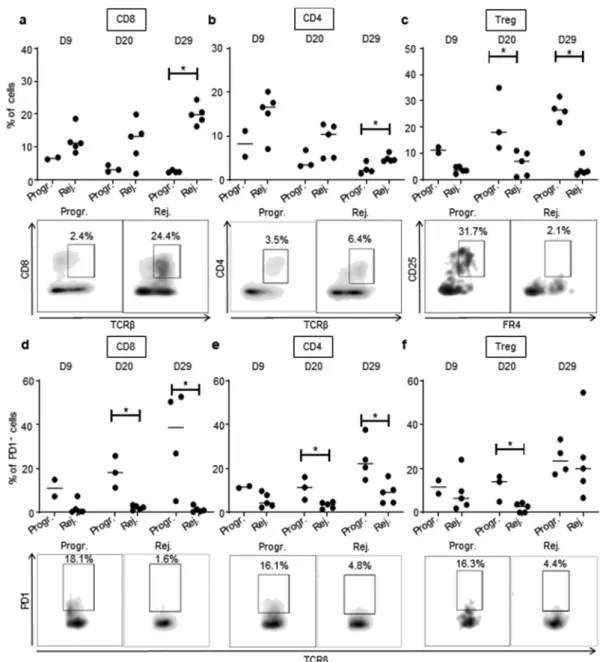 Figure 5. High CD8 T cells and low Treg infiltration in rejecting CRC tumors. Quantitative data (upper panels) and D29 (a, b, c) or D20 (d, e, f) representative FACS dot plot  analyses  (lower  panels)  of  tumor-infiltrating  CD8 +  T  lymphocytes  (CD8, 