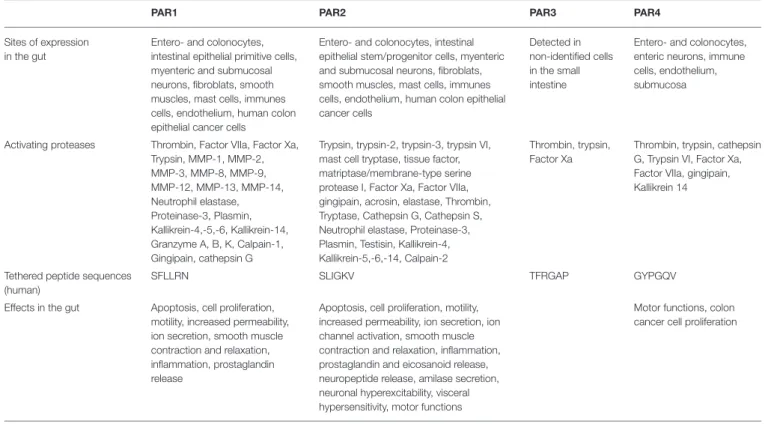 TABLE 1 | PARs expression sites, activating proteases, tethered peptides, and main effects in the intestine.