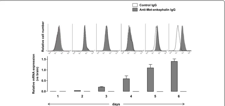 Fig. 2 Proenkephalin is upregulated upon T cell activation. Naive CD4 + T lymphocytes isolated from wild-type mice were stimulated with both anti-CD3 and anti-CD28 mAbs for 6 days