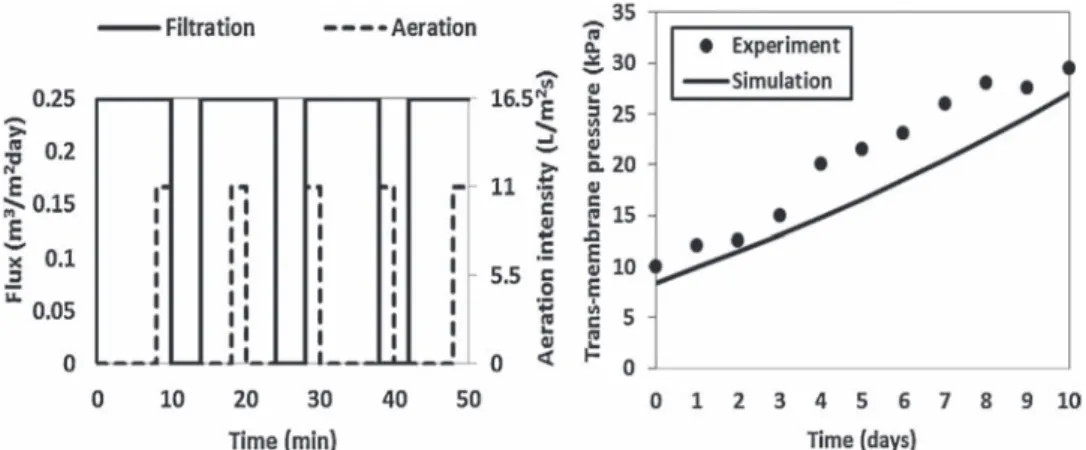 Fig. 5 – Comparison between the experimental data (points) and simulation results (line)
