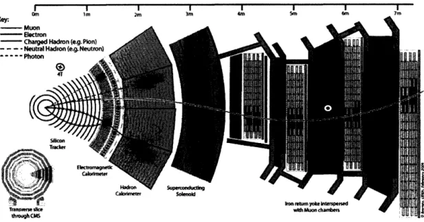 Figure  2-3:  Slice  of the CMS  detector showing the four principle  detector components and the  solenoid.