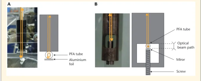 Figure 3. Pictures and schemes of the A) reflection probe and B) transflectance probe.