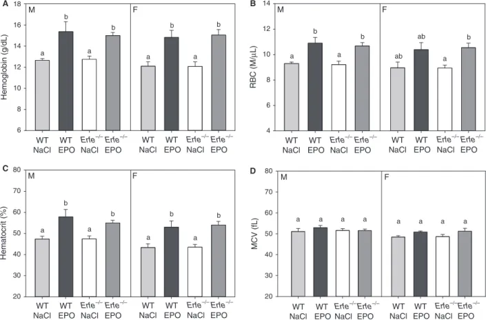 Figure 6. Stimulation of erythropoiesis by chronic erythropoietin treatment is preserved in mice lacking erythroferrone