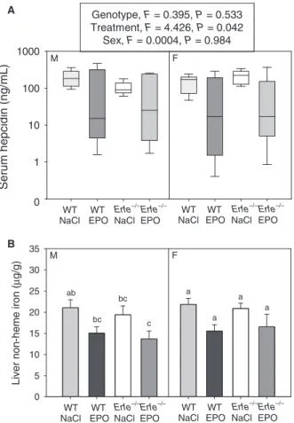 Figure 7. Liver iron content and hepcidin expression are not different between WT and Erfe / mice under basal conditions or after chronic EPO treatment