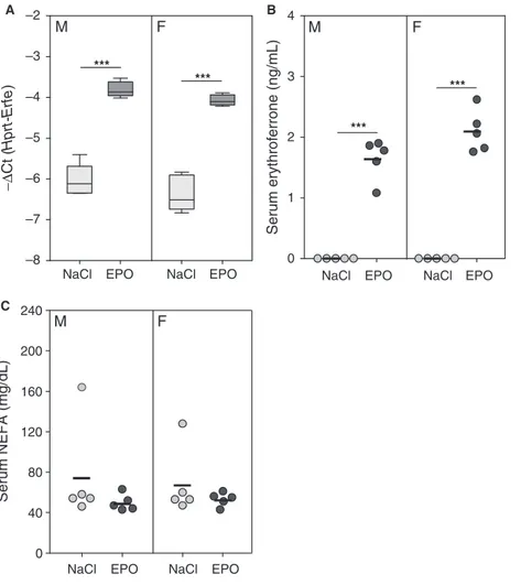 Figure 3. Serum levels of nonesterified fatty acids are not affected by acute EPO treatment