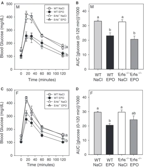 Figure 4. Erythroferrone does not affect glucose tolerance under basal conditions or after chronic treatment with EPO