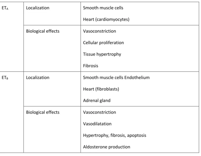 Table 1: Localization of ET A  and ET B  receptors and biological effects after binding with ET-1 