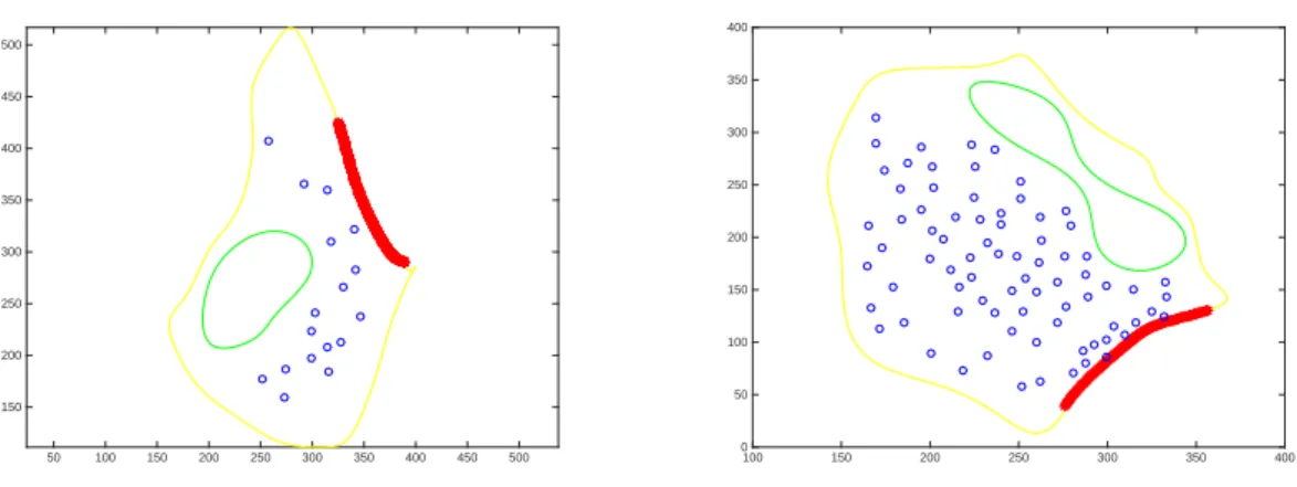 Figure 2: Plots of vesicle locations for a control (left) and a stressed (right) synapse.