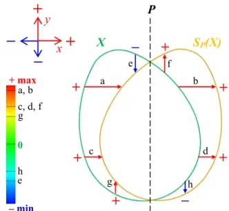 Fig. 4. Asymmetry maps direction definition. Orthogonal  components of the deformation field which are in the same  (resp