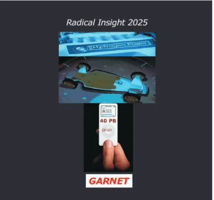 Figure 26. Radical Insight?